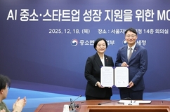 국세청, 유망 AI 중소기업·스타트업 세무조사 유예·제외한다