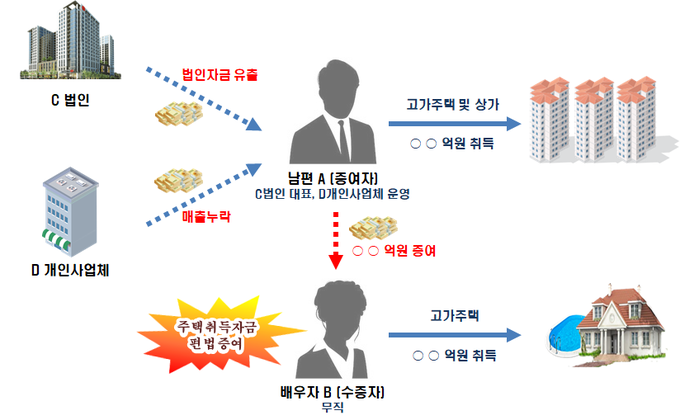 국세청 세무조사 선정사례.