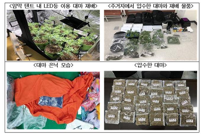 마약류 단속 사례.<사진=국무조정실>