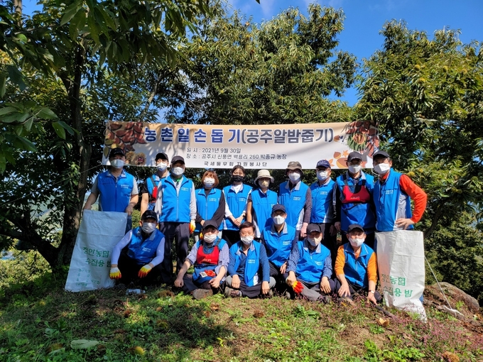 국세동우회 자원봉사단은 지난달 30일 공주시 신풍면 소재 박종규씨 밤농장을 찾아 알밤 수확 봉사활동을 실시했다.