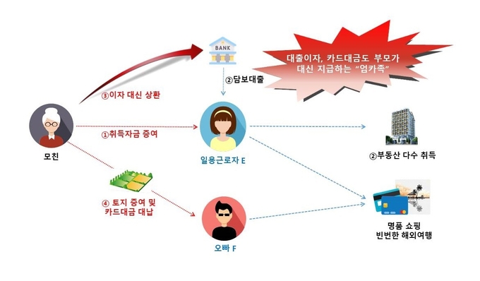 모친이 부동산 취득자금 편법 증여 및 대출이자, 고액의 신용카드 대금을 대신 상환한 혐의(자료=국세청)