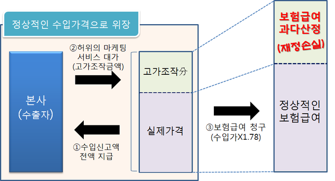 건강보험재정 손실 개요도<자료-관세청>