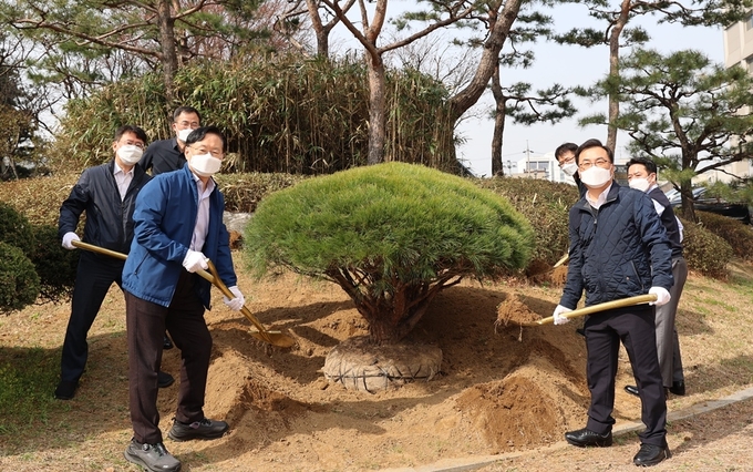 성태곤<왼쪽 앞> 서울본부세관장이 77회 식목일을 맞아 직원들과 함께 소나무를 식수하고 있다.