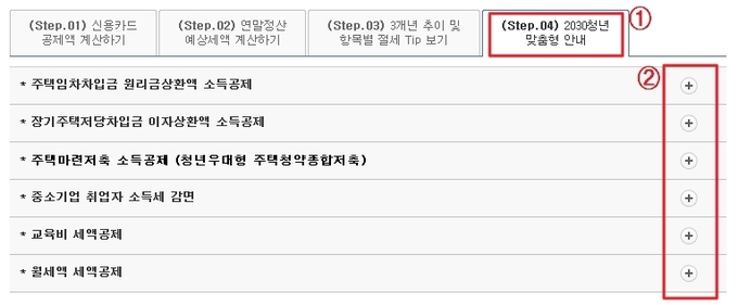 2030 청년 근로자 맞춤형 안내 화면<자료-국세청>