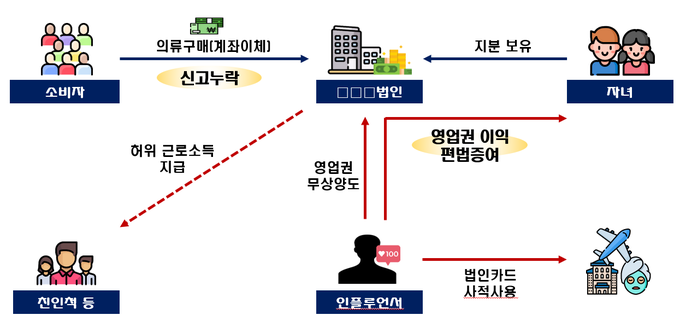 영업권을 자녀에게 편법 증여하고 현금매출을 신고 누락, 법인카드를 사적으로 사용한 인플루언서(자료=국세청)
