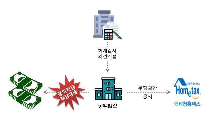 변칙회계처리로 공금 유용한 외부회계감사 의견거절 공익법인(자료=국세청) 