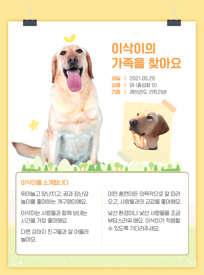 관세인재개발원이 민간에 분양 중인 훈련견 '이삭'.