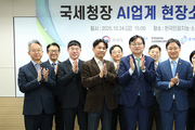 국세청, AI 중소기업 4천800여곳 정기 세무조사 안한다