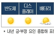 내년 산업기상도…반도체·디스플레이 '맑음'…기계·석유화학·철강·건설 '흐림'