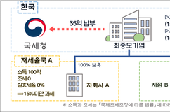 글로벌최저한세 최초 정기신고…5월1일부터 시작